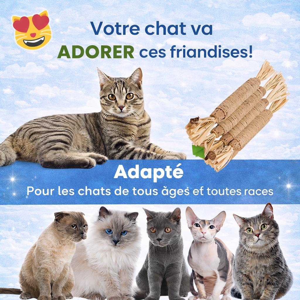 Câlinou™ Bâtons Dentaires Naturels