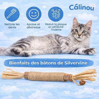 Câlinou™ Bâtons Dentaires Naturels
