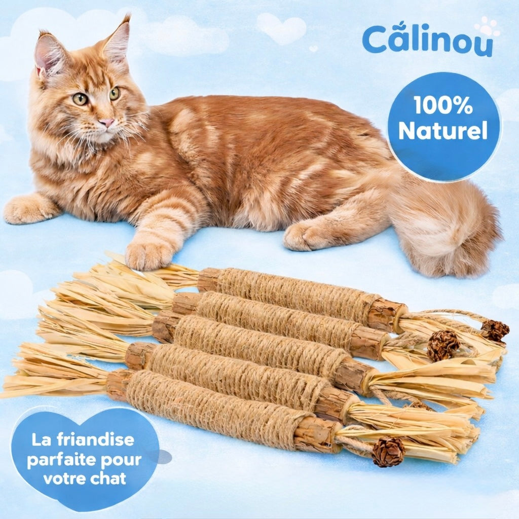 Câlinou™ Bâtons Dentaires Naturels