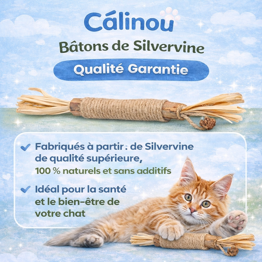 Câlinou™ Bâtons Dentaires Naturels