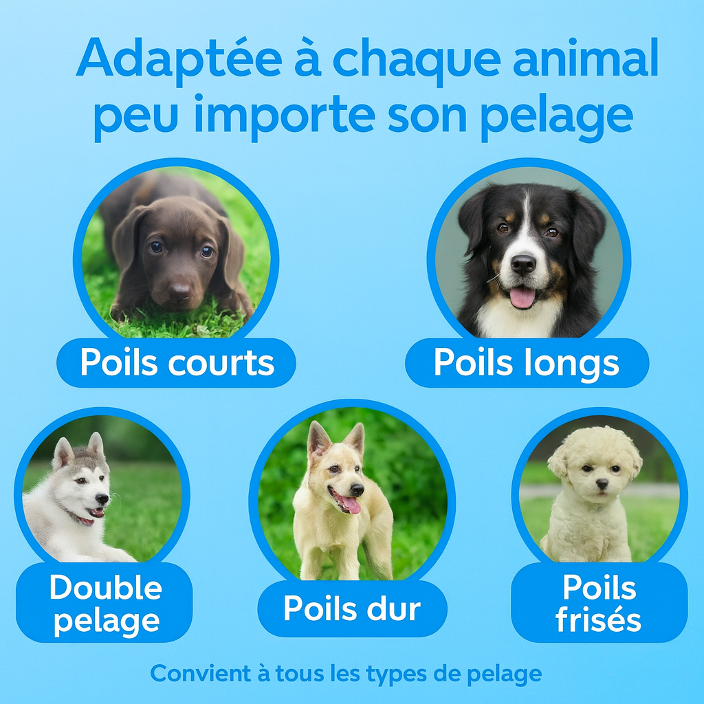 La Brosse Anti-Poils Câlinou™